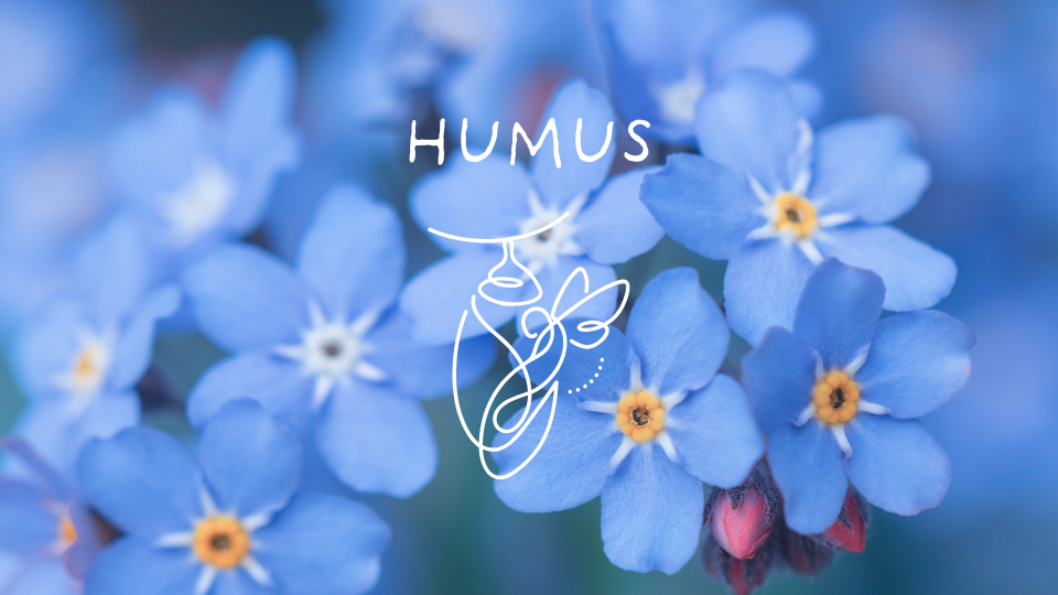 humus-mini